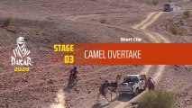Dakar 2020 - Étape 3 / Stage 3 - Camel Overtake