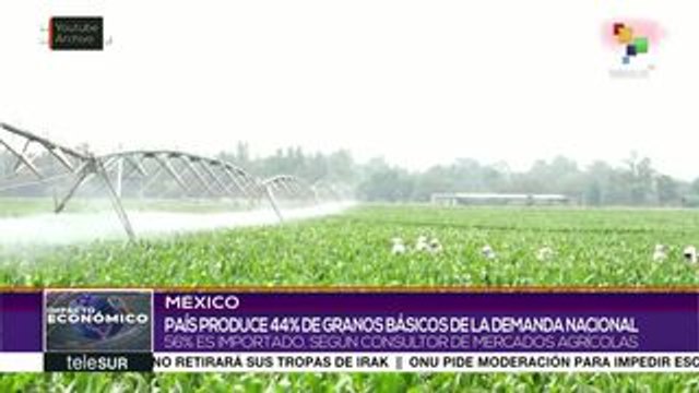 México produce menos cantidad de granos básicos de lo que consume