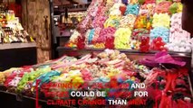 To Tackle Climate Change, Stop Eating Out, Drinking Booze and Having Sweets So Often