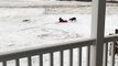 Dog Does Donuts with Kiddo