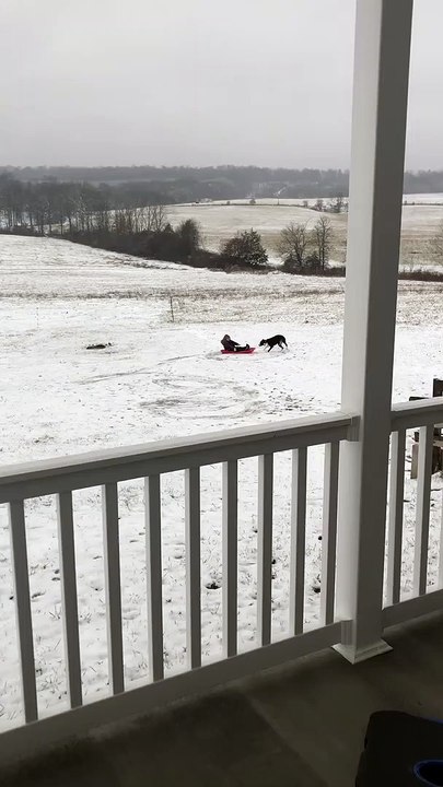 Dog Does Donuts with Kiddo