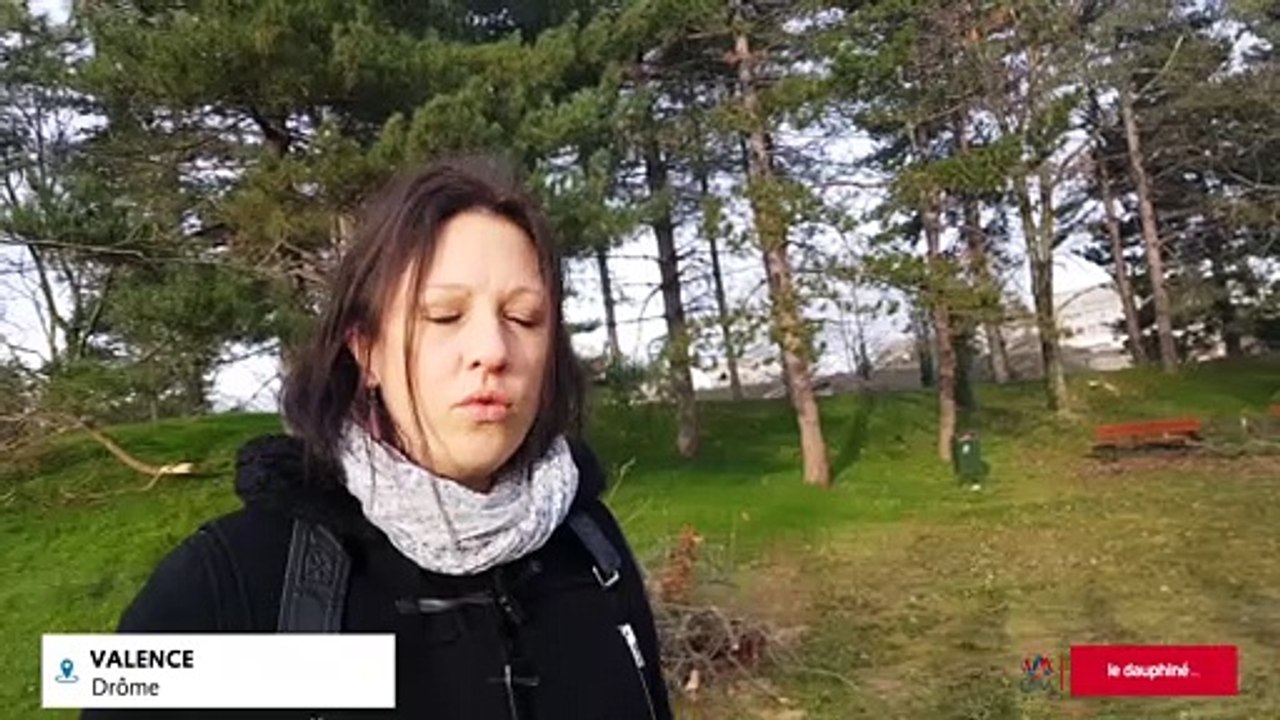 VALENCE "Sur 28 000 arbres, 20 000 ont été touchés par la neige"
