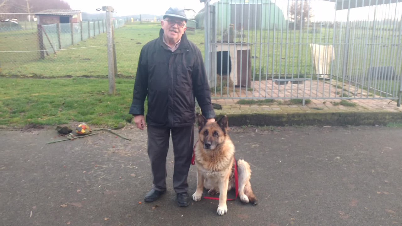 Jurbise. Gina s'était enfuie à cause des deux d'artifices. Vidéo Eric Ghislain