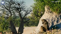 Botswana - أجمل المحميات الطبيعية