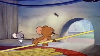 TOM AND JERRY NEW FUNNY VIDEO 2020
