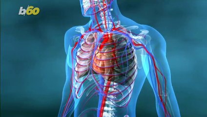 When You Stop Eating Sugar, Great Things Happen to Your Body