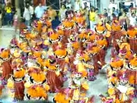 Carnaval de Rio - Salgueiro