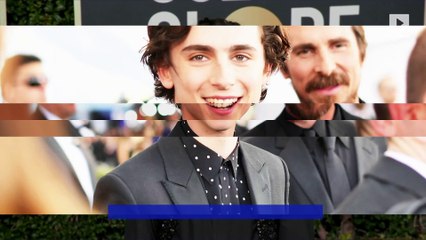 Timothée Chalamet in Talks to Play Young Bob Dylan