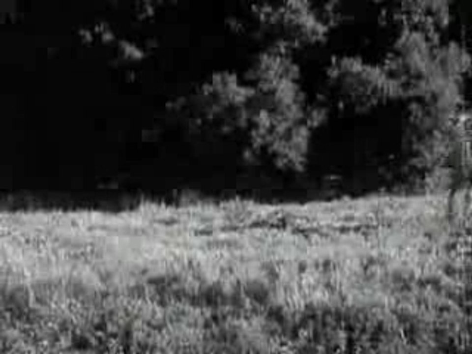 Royal Canadian Mounted Police Movie: Phantom Patrol ‘36