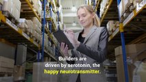 The Four Chemicals in Your Brain That Determine Your Personality