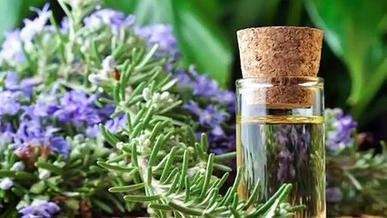 أفضل 10 أطعمة لتقوية الذاكرة .. جربوها الأن