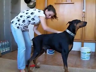 Dra._Daniela_Lewgoy_e_Eich_-_Quiropraxia_veterinária!(480p)