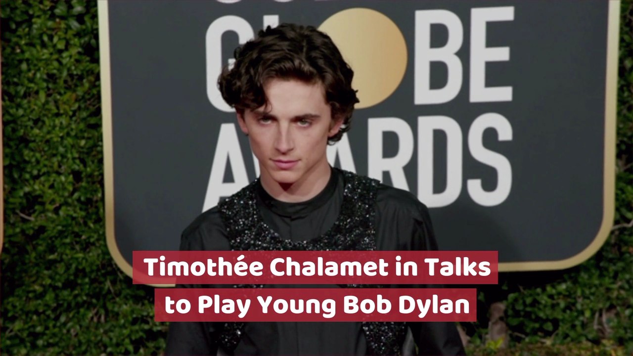 Does Timothée Chalamet Look Like Young Bob Dylan