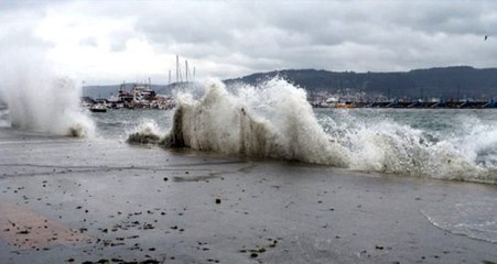 İDO ve BUDO yarın yapılacak bazı seferlerini iptal etti