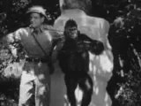Amazon Movie Trailers: Queen of the Amazons Safari (1946)