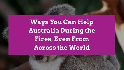 Ways You Can Help Australia During the Fires, Even From Across the World
