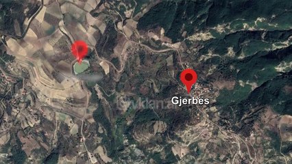 16-vjecari masakron gruan e xhaxhait gjate grabitjes