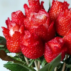 fruit art| fruit ninja|  水果藝術|水果忍者| フルーツアート|フルーツ忍者