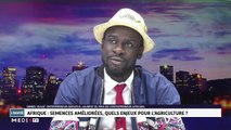 Daniel Oulaï, entrepreneur agricol : Semences améliorées, quels enjeux pour l'agriculture en Afrique ? - 09/01/2020