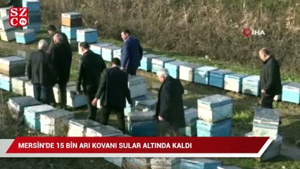Mersin'de 15 bin arı kovanı sular altında kaldı