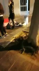 Pillan in franganti a una mujer abandonando a su gato en Las Palmas porque era "feo"