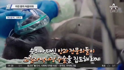 이런 환자 처음이야