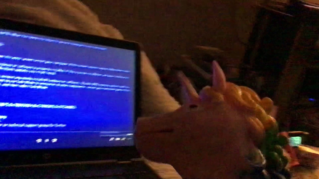 Unicorn Puppet gets Ozzie Error