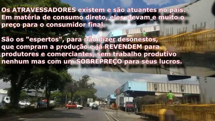 Como funciona o CEASA -Centrais Abastecimento em MG