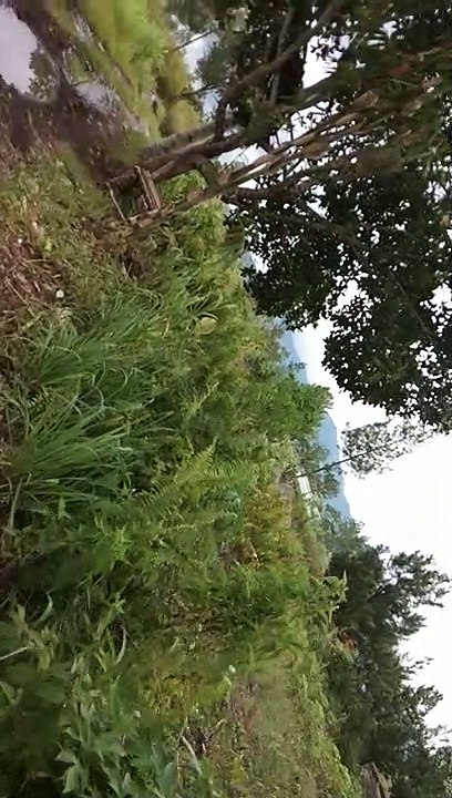 Explorasi Semeru || ~ Part 6 ~