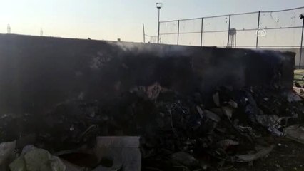 İran'da düşen yolcu uçağındaki 176 kişi hayatını kaybetti