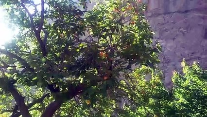 Beautiful view of the Natural beauty.