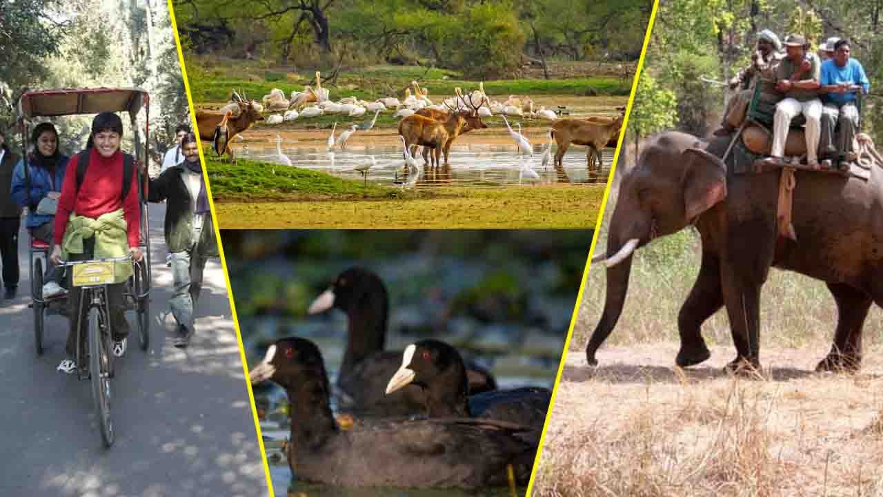 Bharatpur Bird Sanctuary देगा आपको Nature के साथ PERFECT DATE | RAJASTHAN TOURISM | Boldsky