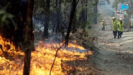 'Thor' star Chris Hemsworth donates $1M to support the fight against bushfires