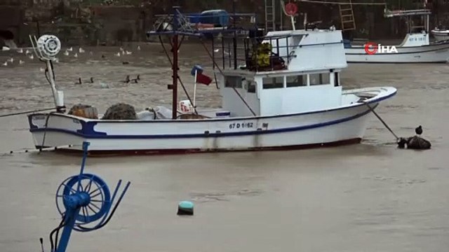 Zonguldak'ta yağışla birlikte liman çamura bulandı