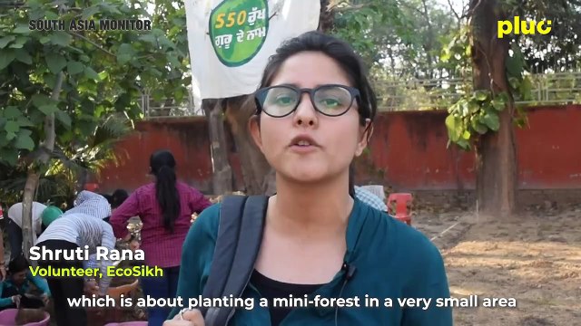 India's 'sacred' forests fight the environmental challenge