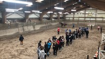 Formation régionale de juges de chevaux de sport