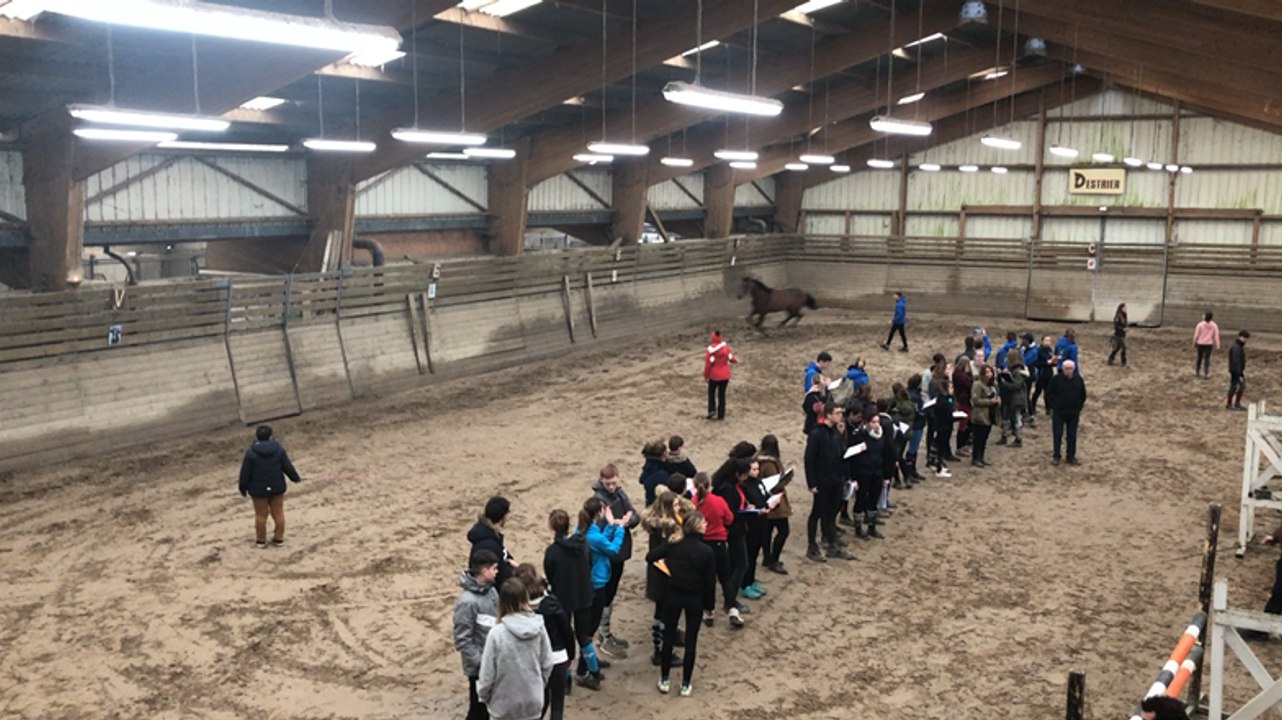 Formation régionale de juges de chevaux de sport