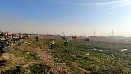 İran'da düşen yolcu uçağındaki 176 kişi hayatını kaybetti (4)