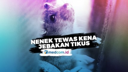 Seorang Nenek Tewas Terkena Jebakan Tikus