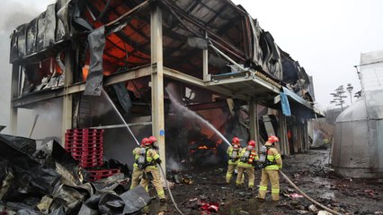 태안 안면도 농협 창고에서 불...9억 원 피해 / YTN