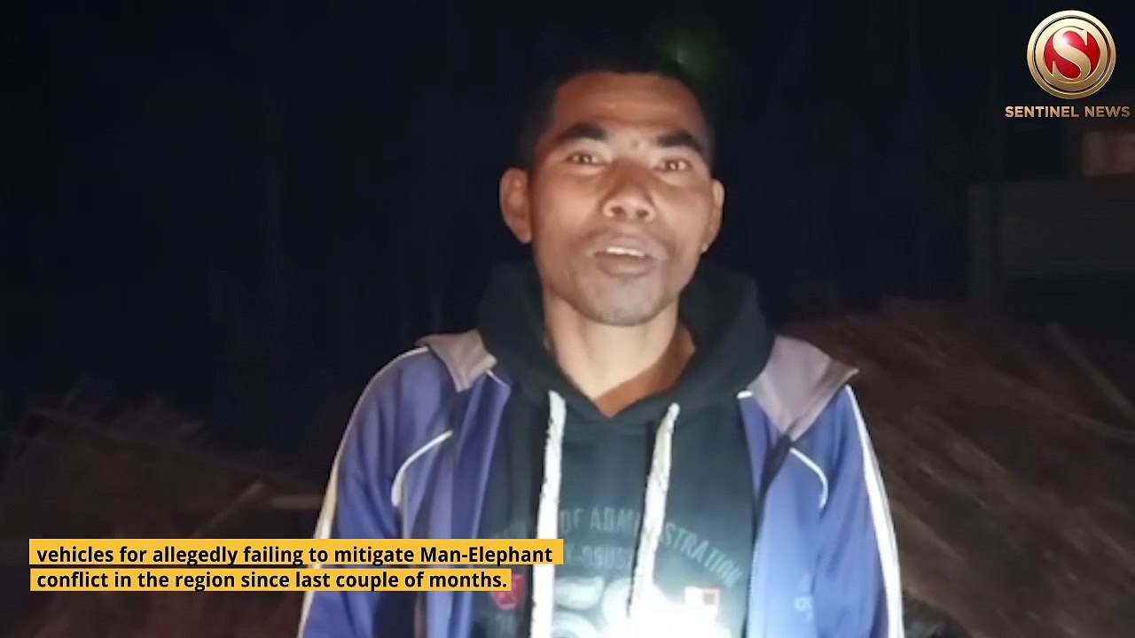 Uproar in Nagaon's Kampur after Forest Officials failed to mitigate Man-Elephant Conflict