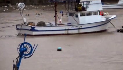 Zonguldak'ta Yağışla Birlikte Liman Çamura Bulandı