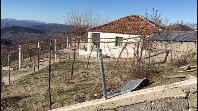 Djali i vrau kunatën, policia largon nënën e autorit nga varrimi në Mallakastër