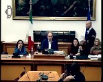 Roma - Alitalia, audizione Ministra De Micheli (07.01.20)