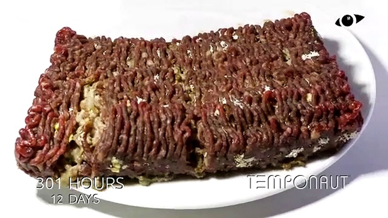 Décomposition de viande hachée en time-lapse