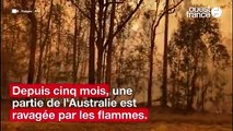 Incendies en Australie : De nombreux photomontages sont publiés sur les réseaux sociaux - Voici des conseils pour ne pas se faire avoir !