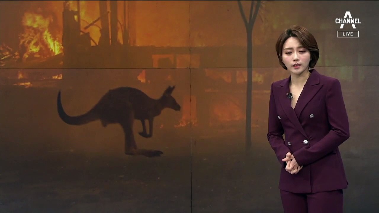 [1월 8일 뉴스A 클로징]“후손들에 면목이 없다”