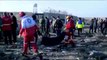 Ukrainian Boeing 737 crashes in Iran, killing all on board