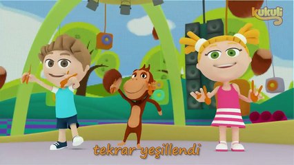 Kukuli - Fındık Dalları