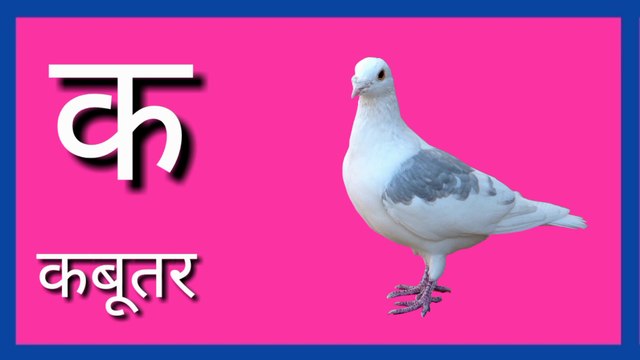 k se Kamal , क से कबूतर , k se kabutar, Nursery Rhymes , Rhymes , Nursery Rhymes Collection , Popular Nursery Rhymes , itsy bitsy spider , Animation , Cartoon , Songs , Children's Song , kids songs , songs for children , rhymes for children , children so